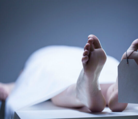 सिलौटो प्रहार गरी पत्नीको हत्या