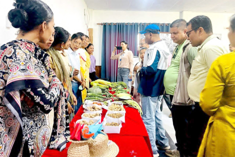 बर्दियाका युवा महिला उद्यमीहरूद्वारा उत्पादित सामग्रीको प्रदर्शनी कार्यशाला
